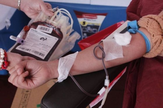 Hospital Escuela desarrolla Jornada de captación de sangre de donante voluntarios